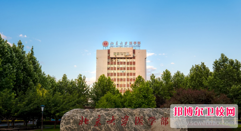 北京大學(xué)醫(yī)學(xué)部的護(hù)理學(xué)專業(yè)招生如何(2023參考)