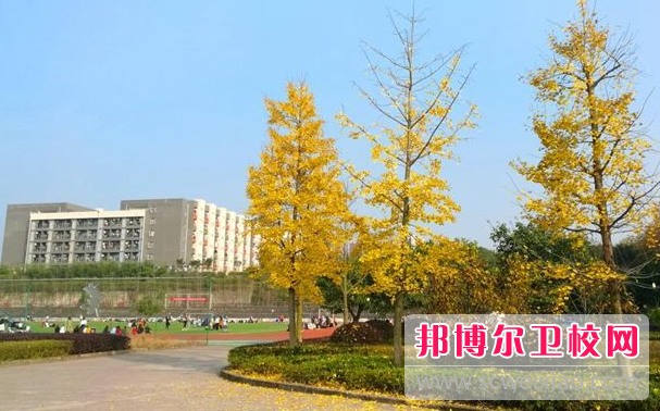 四川2023年初中生怎么考護理學(xué)校