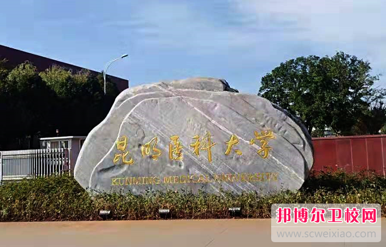 云南2023年哪些大學(xué)有護理學(xué)校大專