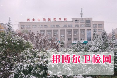 陜西2024年好一點的護(hù)理學(xué)校